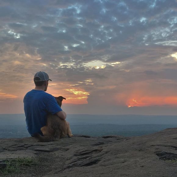 Meet your Posher, David - Picture 1 of 1
